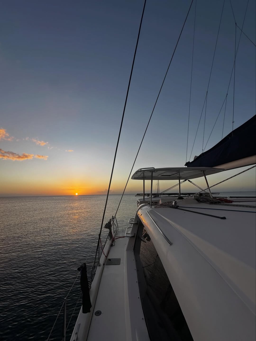 White Dog Sailing in the Caribbean